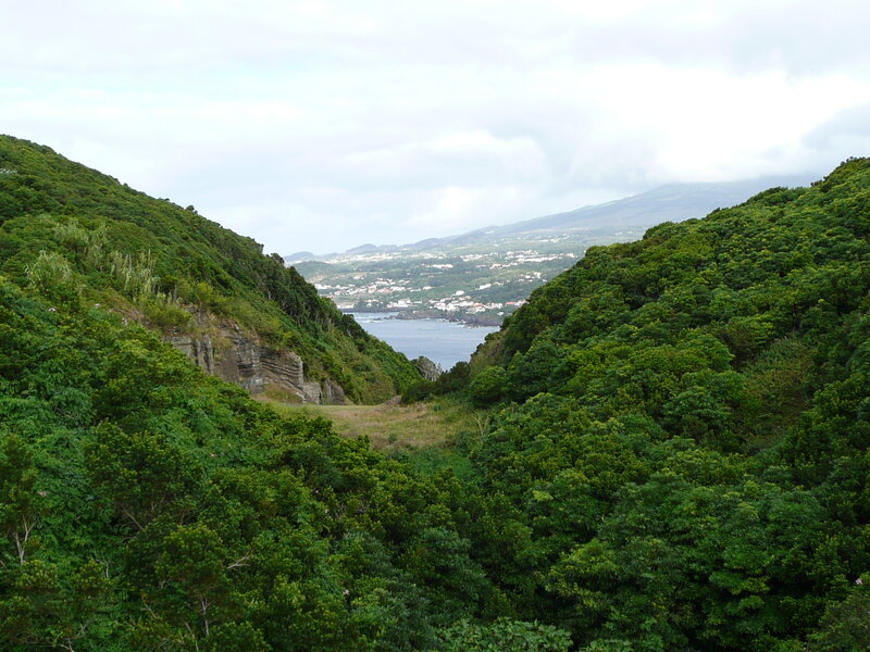 Green Hills and Coastal Town