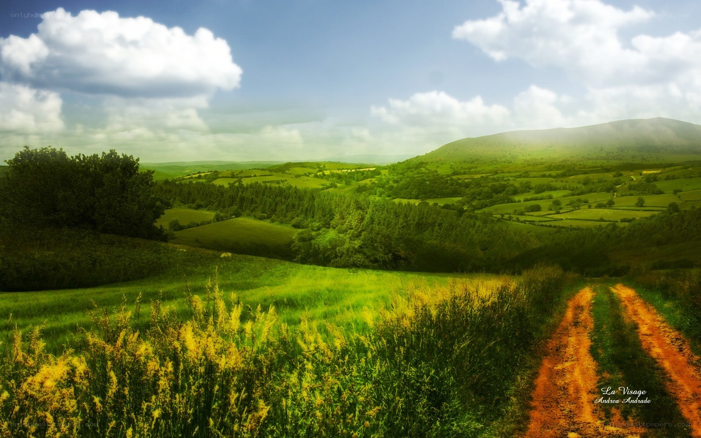 Green hills and dirt path