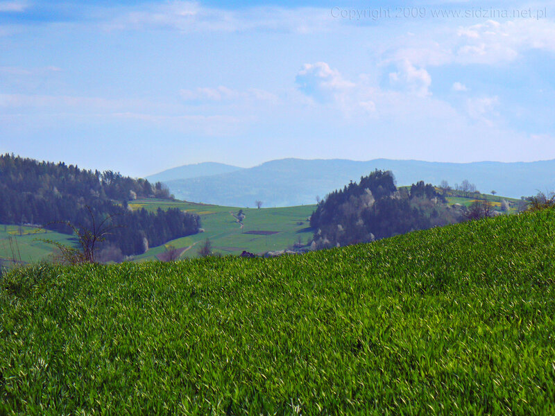 Green hills and distant mountains