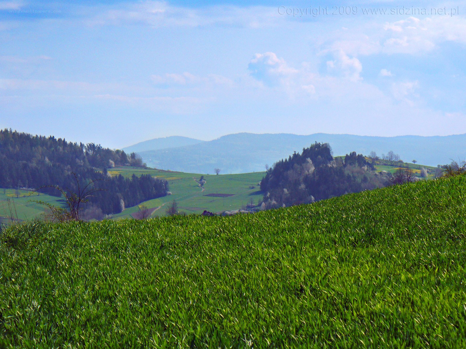 Green hills and distant mountains