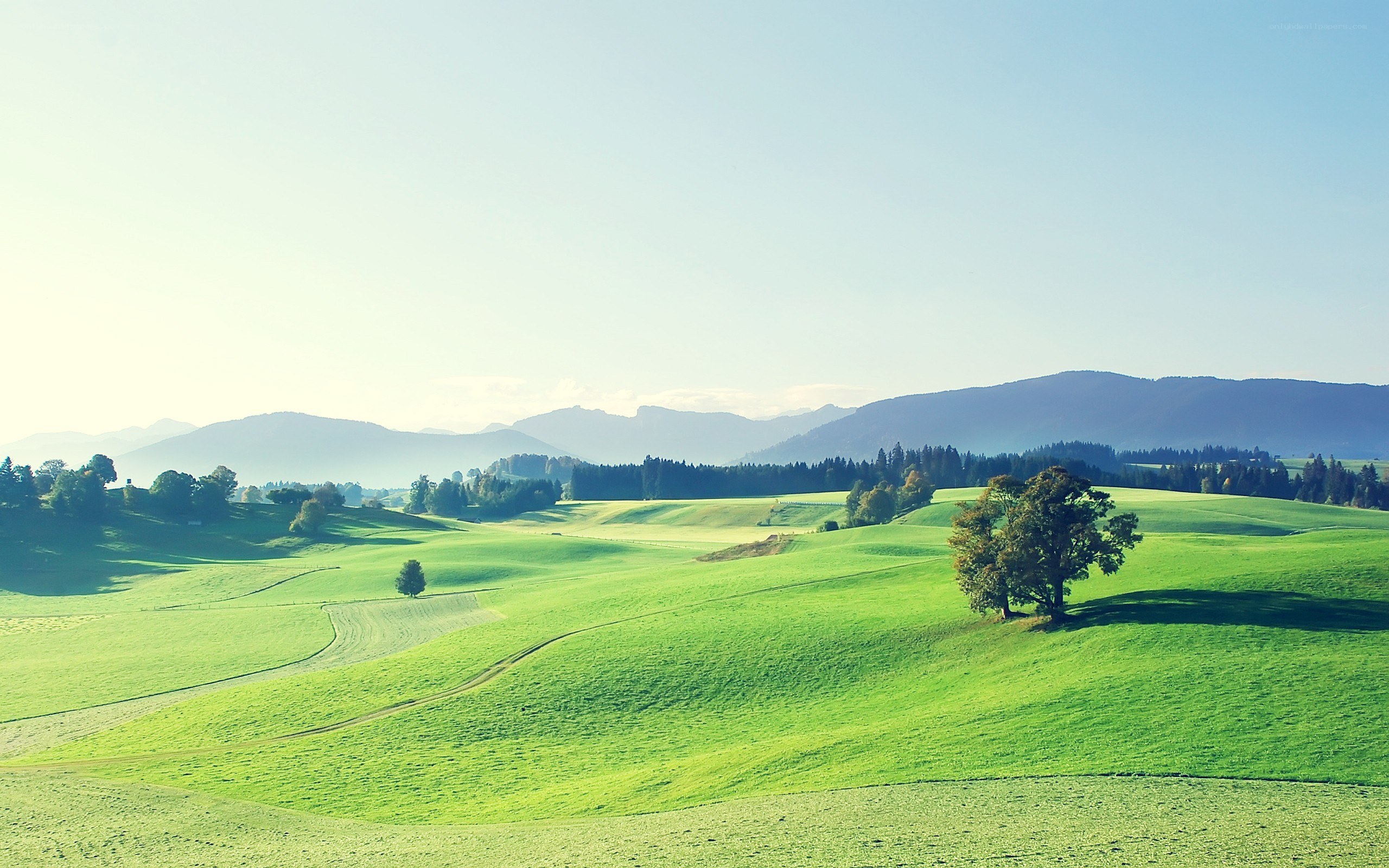 Green hills and distant mountains