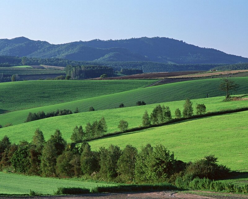 Green hills and distant mountains