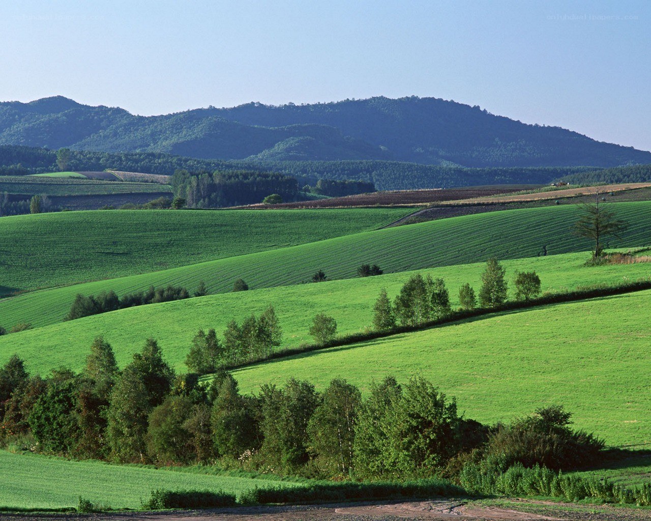 Green hills and distant mountains