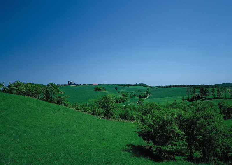Green Hills and Farm