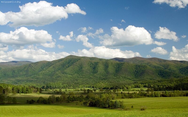 Green Hills and Fields — Serene, Afternoon, Photograph