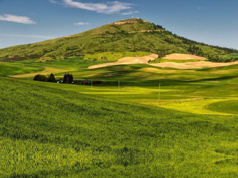 Green Hills and Fields — Serene, Afternoon, Photograph, Trees