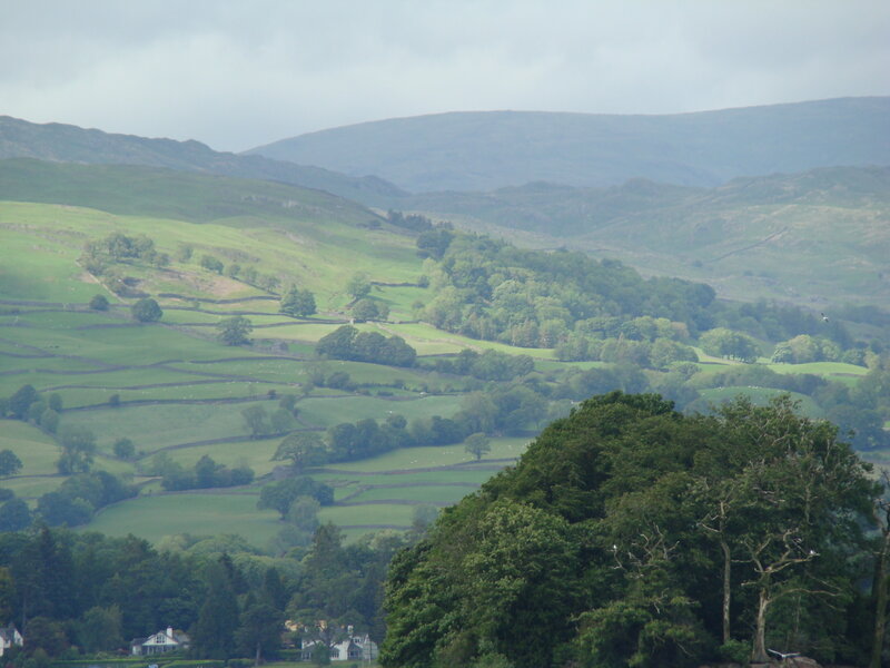 Green Hills and Fields — Serene, Afternoon