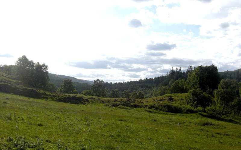 Green hills and forest landscape