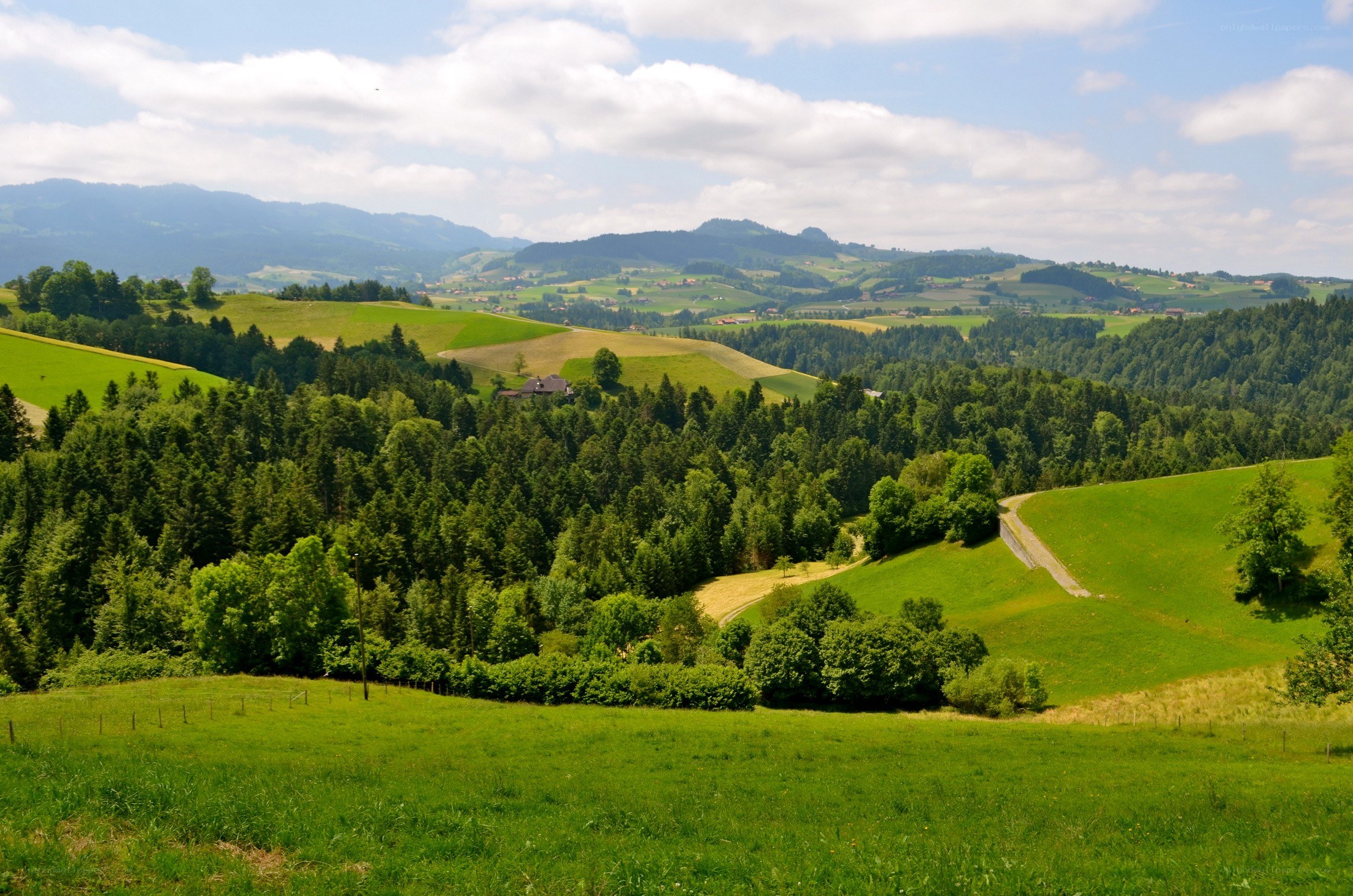 Green hills and forest landscape