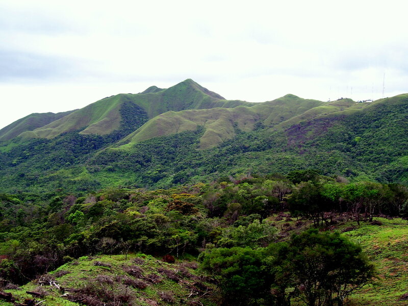 Green hills and forest landscape