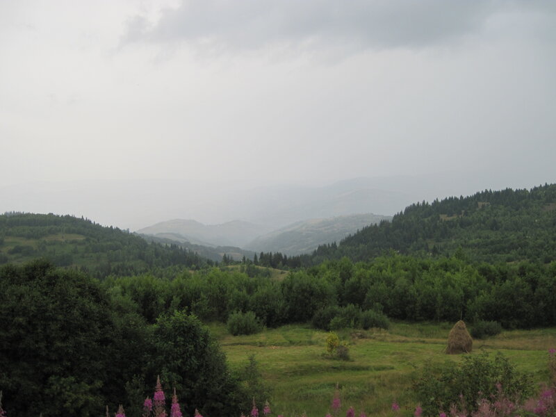 Green Hills and Forest — Overcast