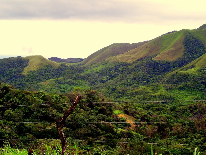 Green Hills and Forest — Serene, Afternoon, Photograph, Fence