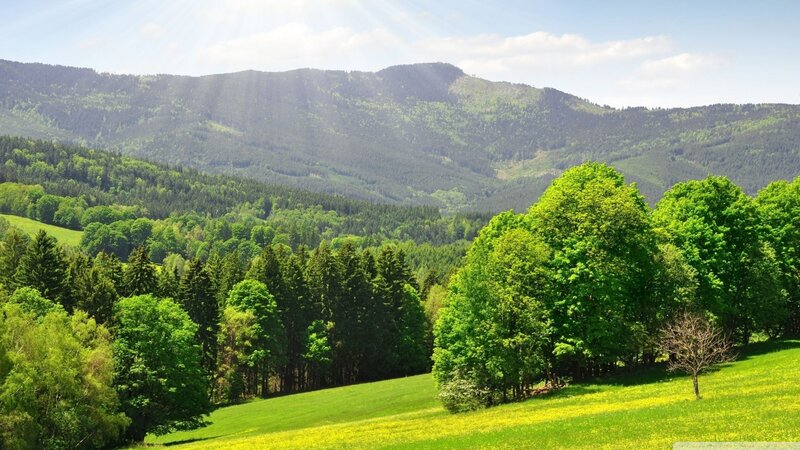 Green Hills and Forest — Serene, Afternoon, Photograph, Mountains, Trees