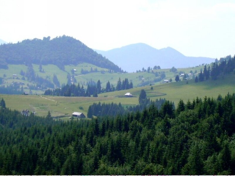 Green Hills and Forest — Serene, Afternoon