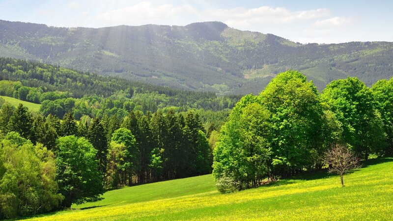 Green Hills and Forest — Serene, Spring