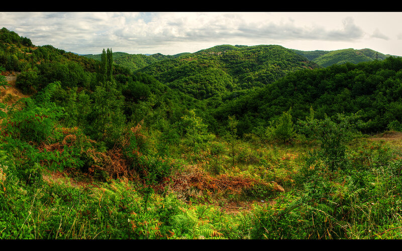 Green hills and forest valley