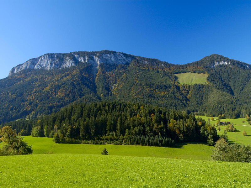Green Hills and Forested Mountain