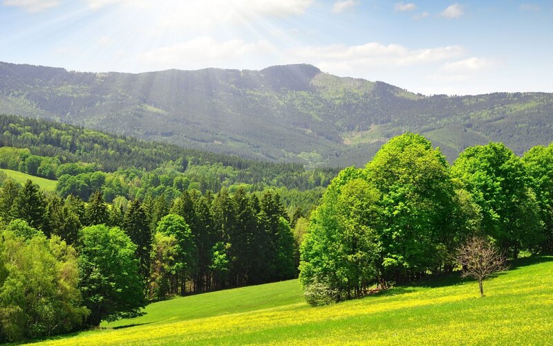 Green hills and forested mountains