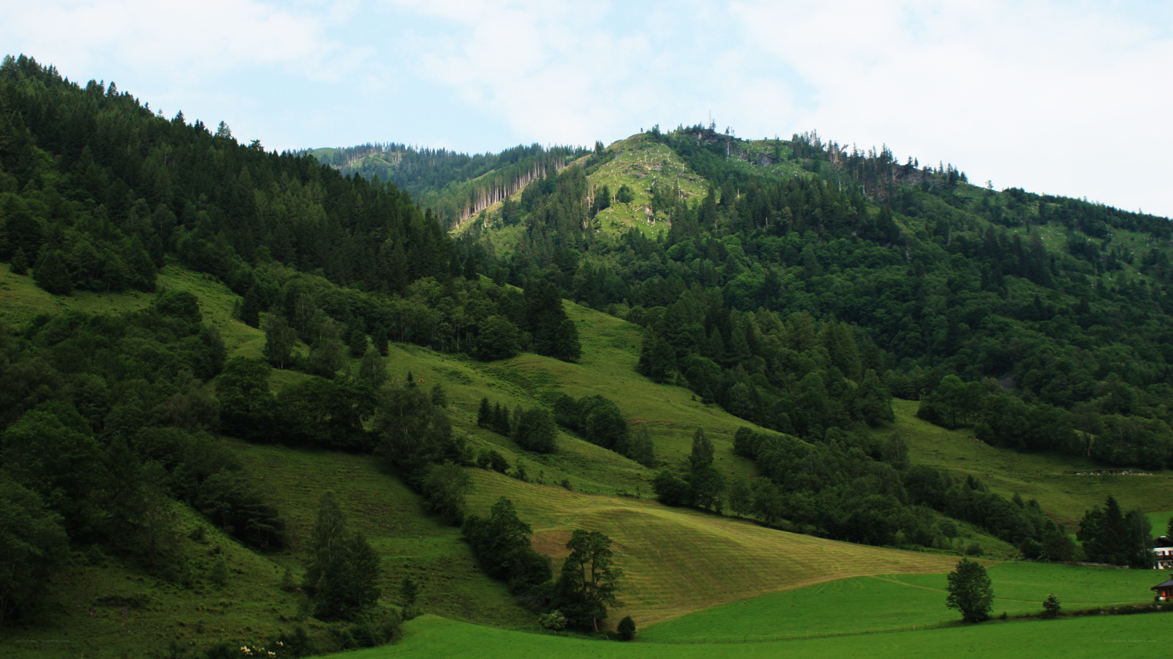 Green hills and forested mountains
