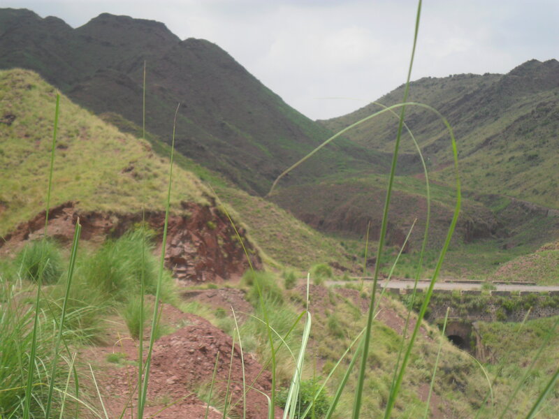 Green Hills and Grass