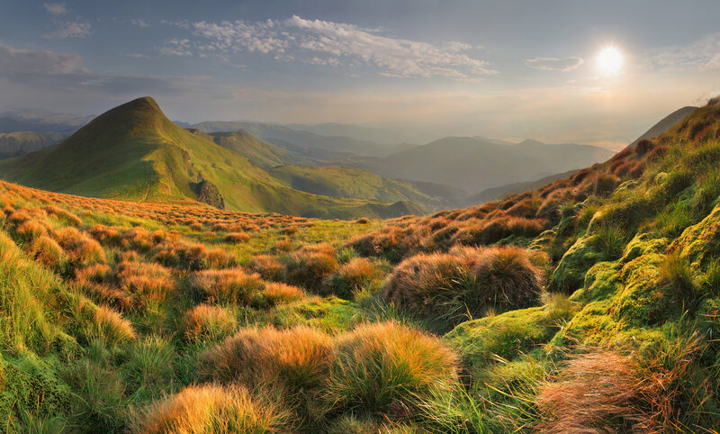 Green Hills and Grasses