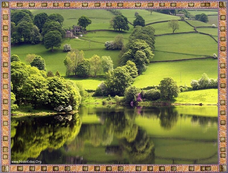 Green Hills and Lake — Fields