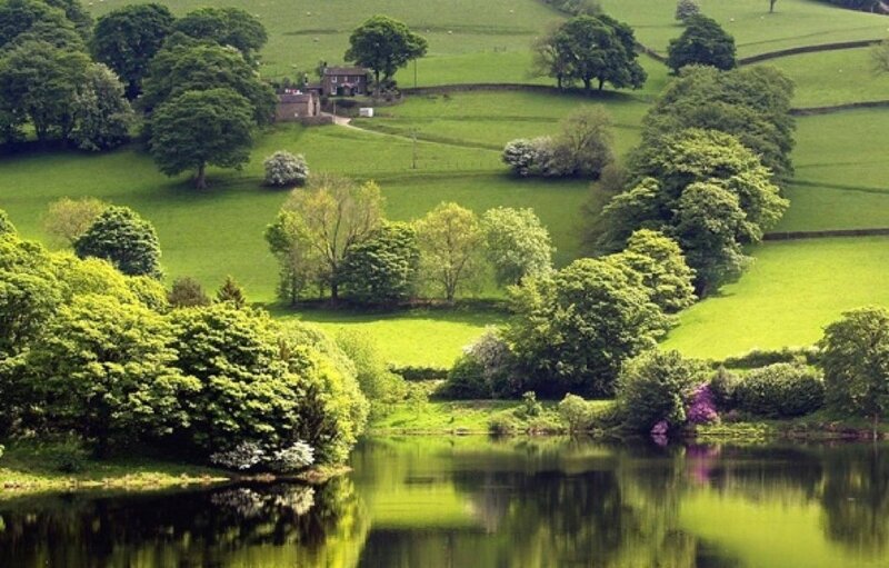 green hills and lake landscape
