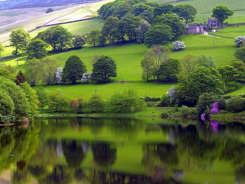 Green hills and lake landscape