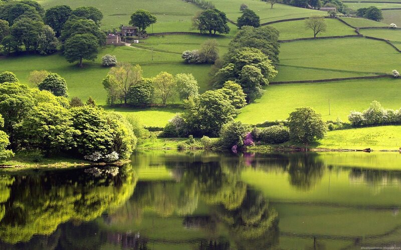 Green hills and lake landscape