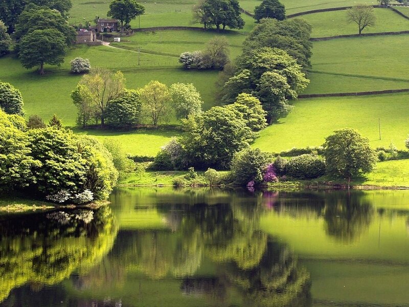 Green Hills and Lake — Serene, Afternoon, Photograph, Trees, Fields
