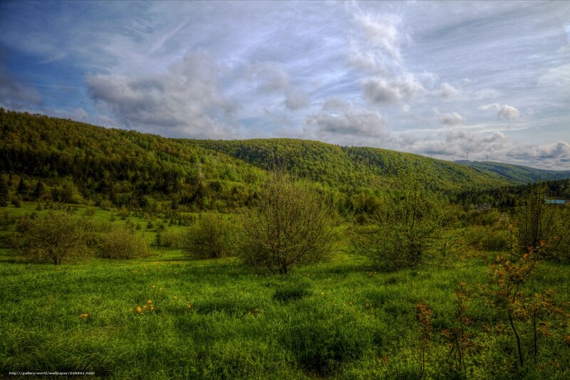Green Hills and Meadow — Serene