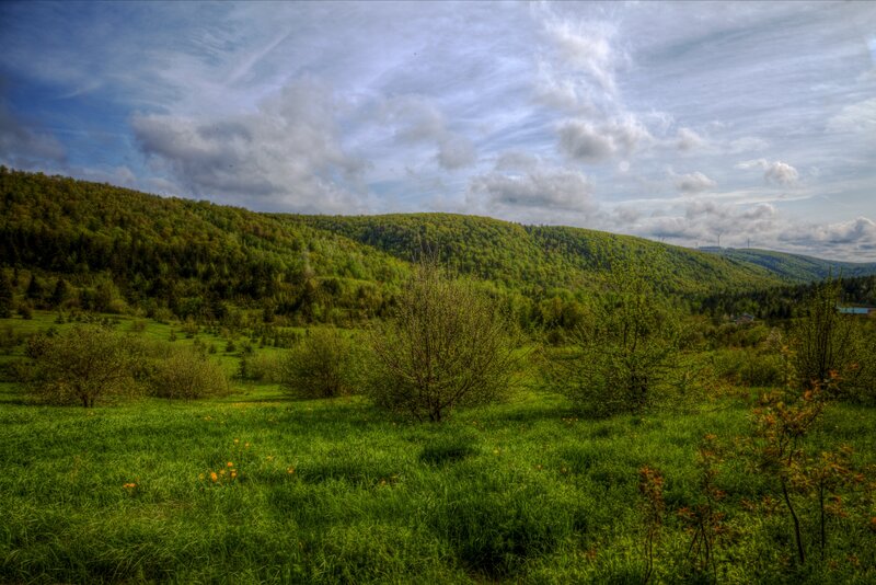 Green Hills and Meadow