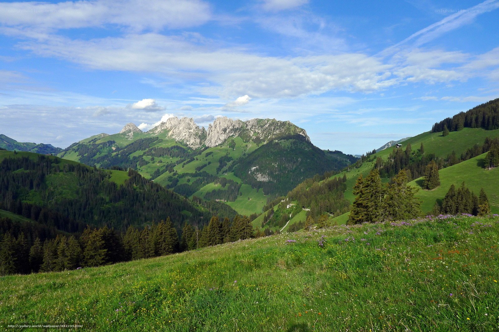 Green hills and mountain peaks