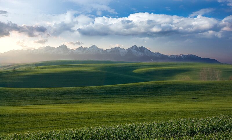 Green Hills and Mountains — Serene, Morning, Photograph
