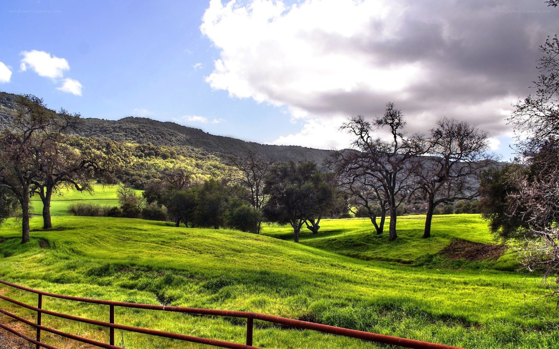 Green hills and oak trees
