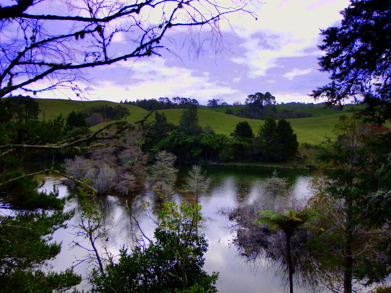 Green Hills and Pond