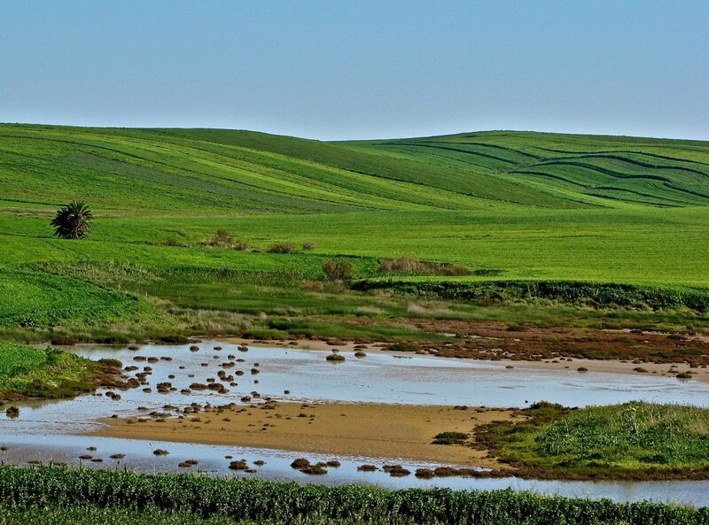 Green Hills and River