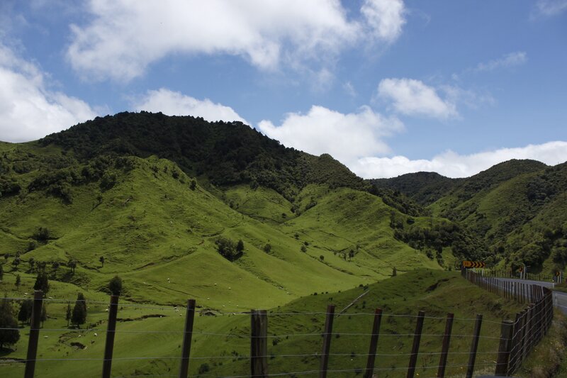 Green Hills and Road — Serene