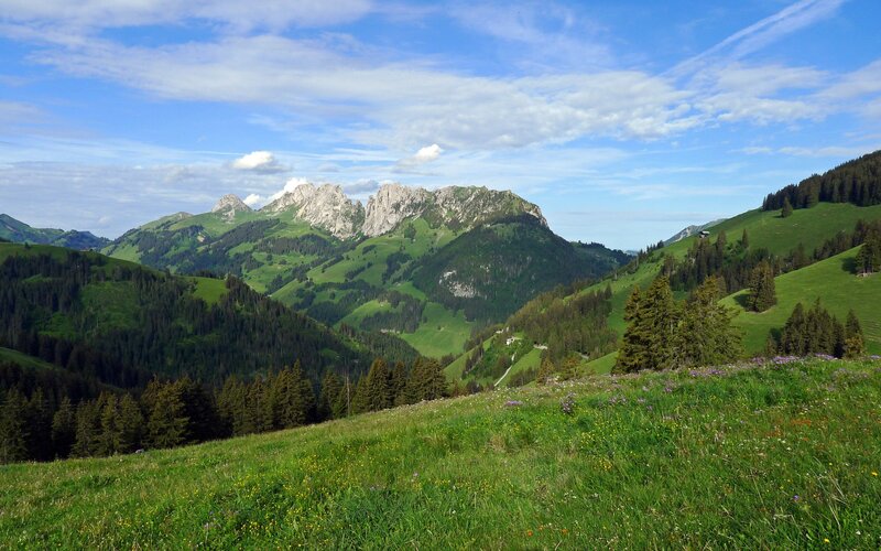 Green hills and rocky mountains