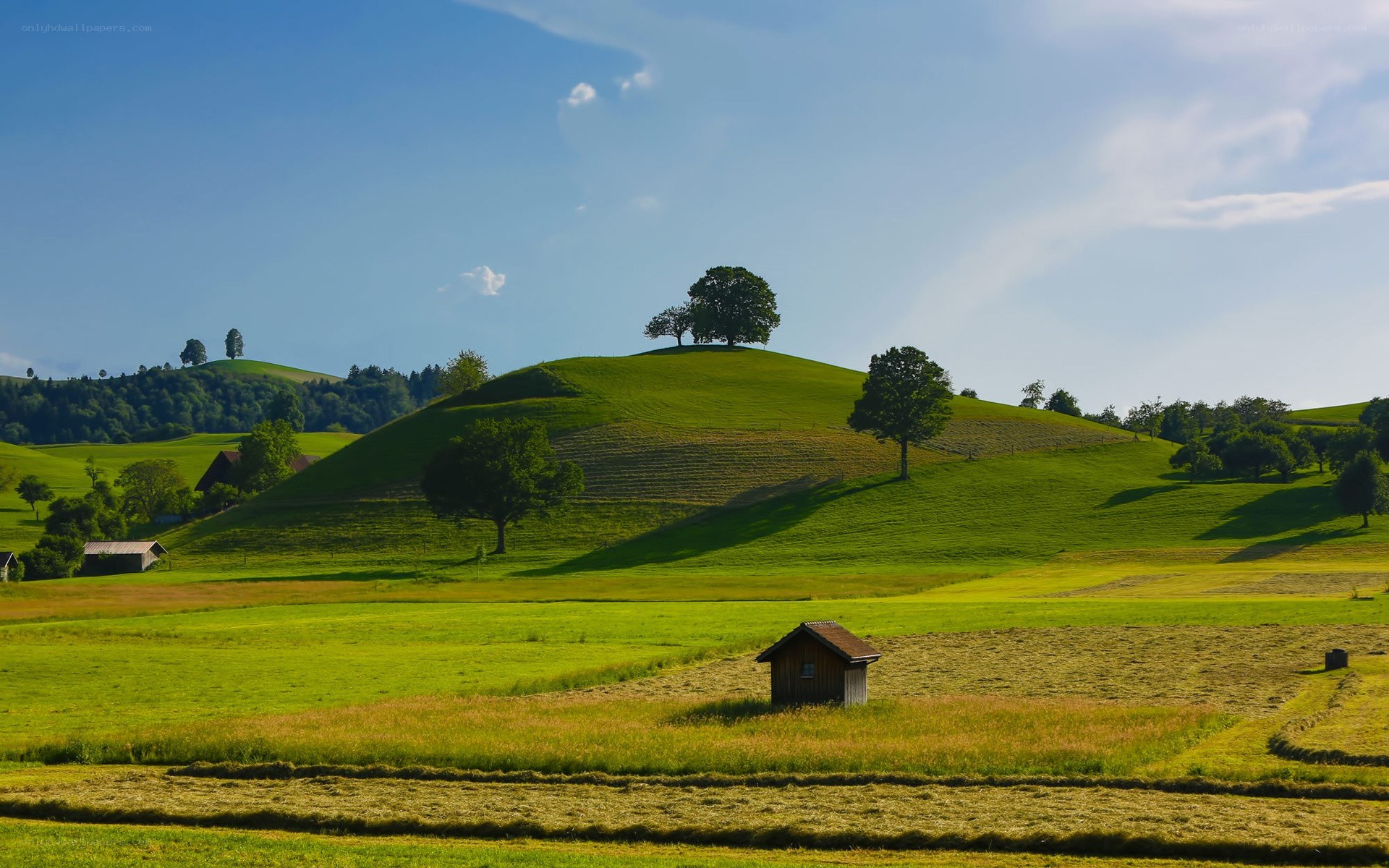 Green hills and rural landscape