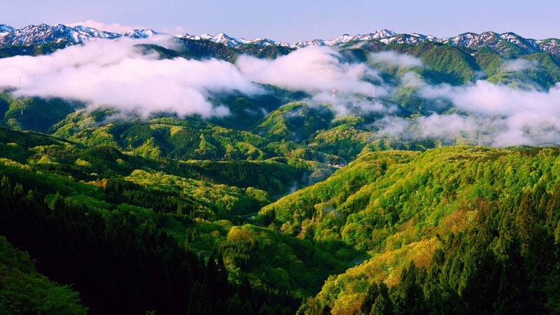 Green Hills and Snow-capped Mountains — Serene