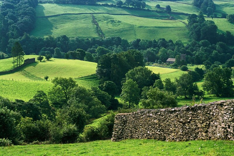 Green Hills and Stone Wall — Serene, Afternoon, Photograph, Trees