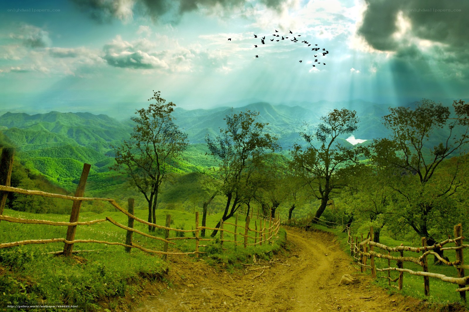 Green hills and sunbeams