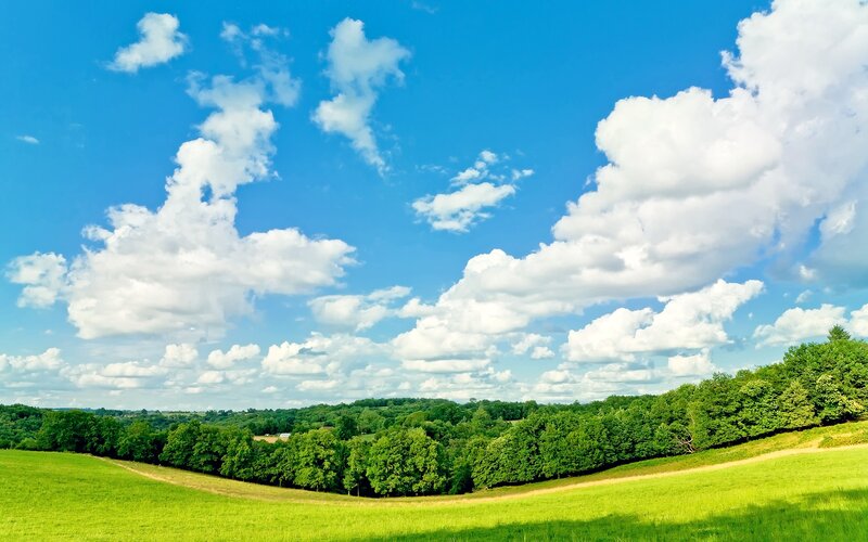 Green Hills and Trees — Blue, Serene