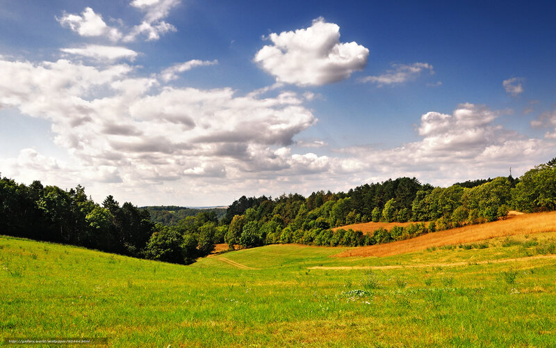 Green Hills and Trees — Blue