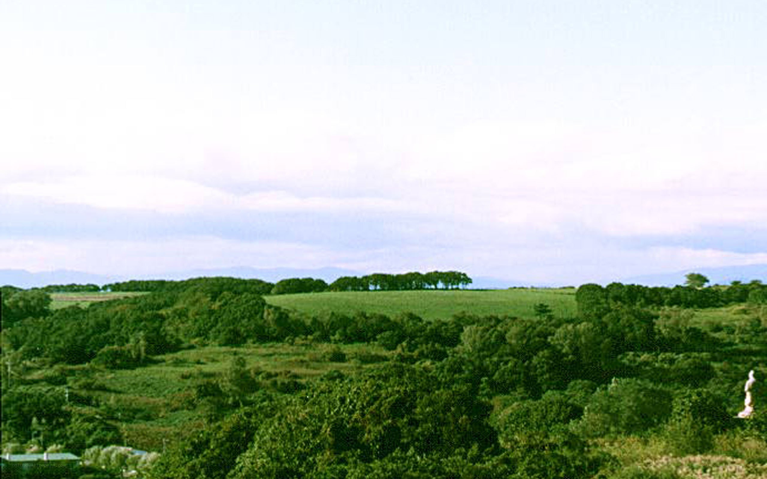 green hills and trees landscape
