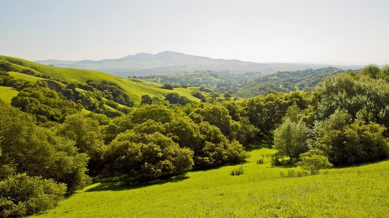 Green hills and trees landscape