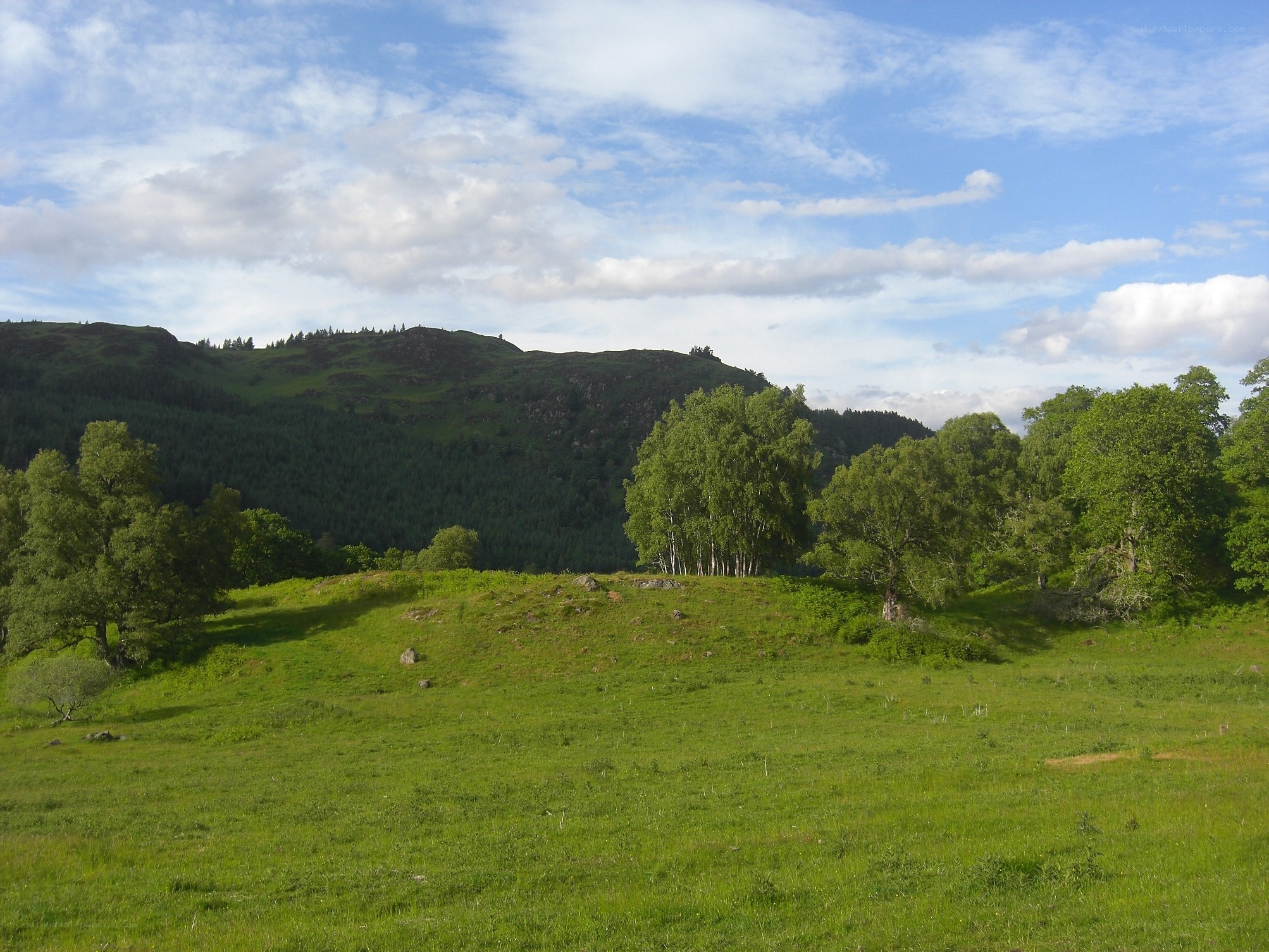Green hills and trees landscape