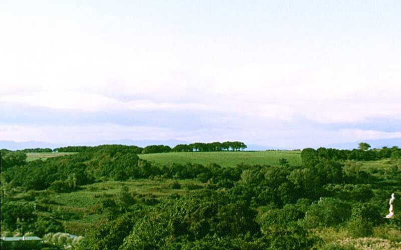 Green Hills and Trees — Serene, Afternoon, Photograph, Sky, Blue