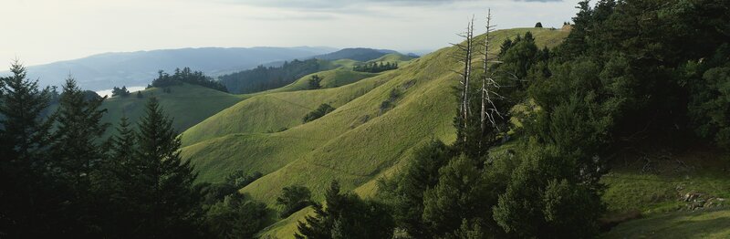 Green Hills and Trees — Serene, Afternoon, Photograph, Sky, Brown